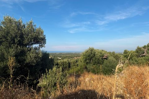 Landejendom i Cisternino, Brindisi, Cisternino - € 1.111.111 | Ref: 381 - foto 7